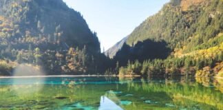 Where to Find Affordable Lodging in New York City