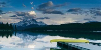 Paris’s 10 Best New Boutiques