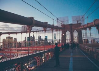 Ultimate Guide to Vienna’s Coffee Renaissance