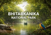 Bhitarkanika National Park – India’s Mangrove Wilderness of Crocodiles and Birds